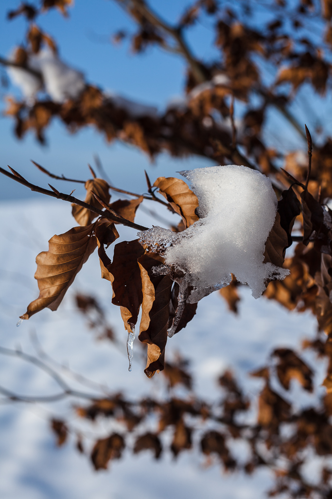 Winter Impressionen