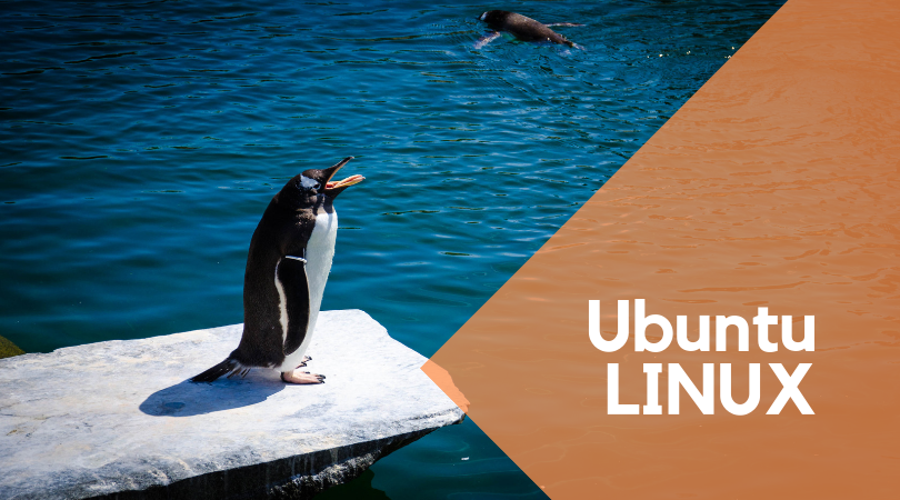 Support für Ubuntu 18.10 endet