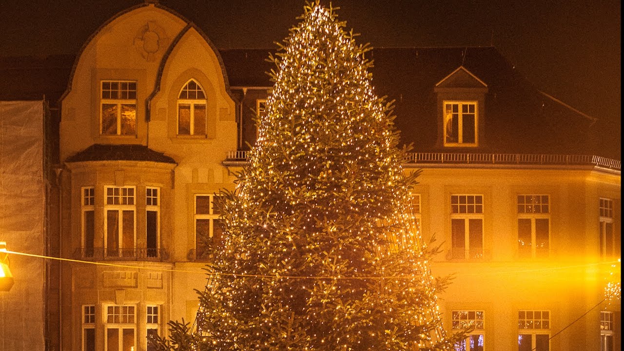 Weihnachtsbaum
